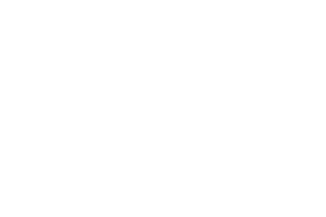 logos-footer3 LZ Immo Logo