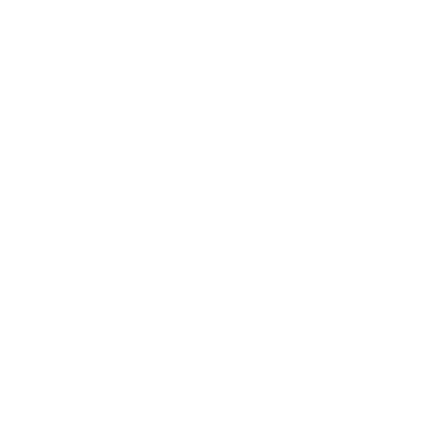 sv_weiß Sachverständiger Logo weiß